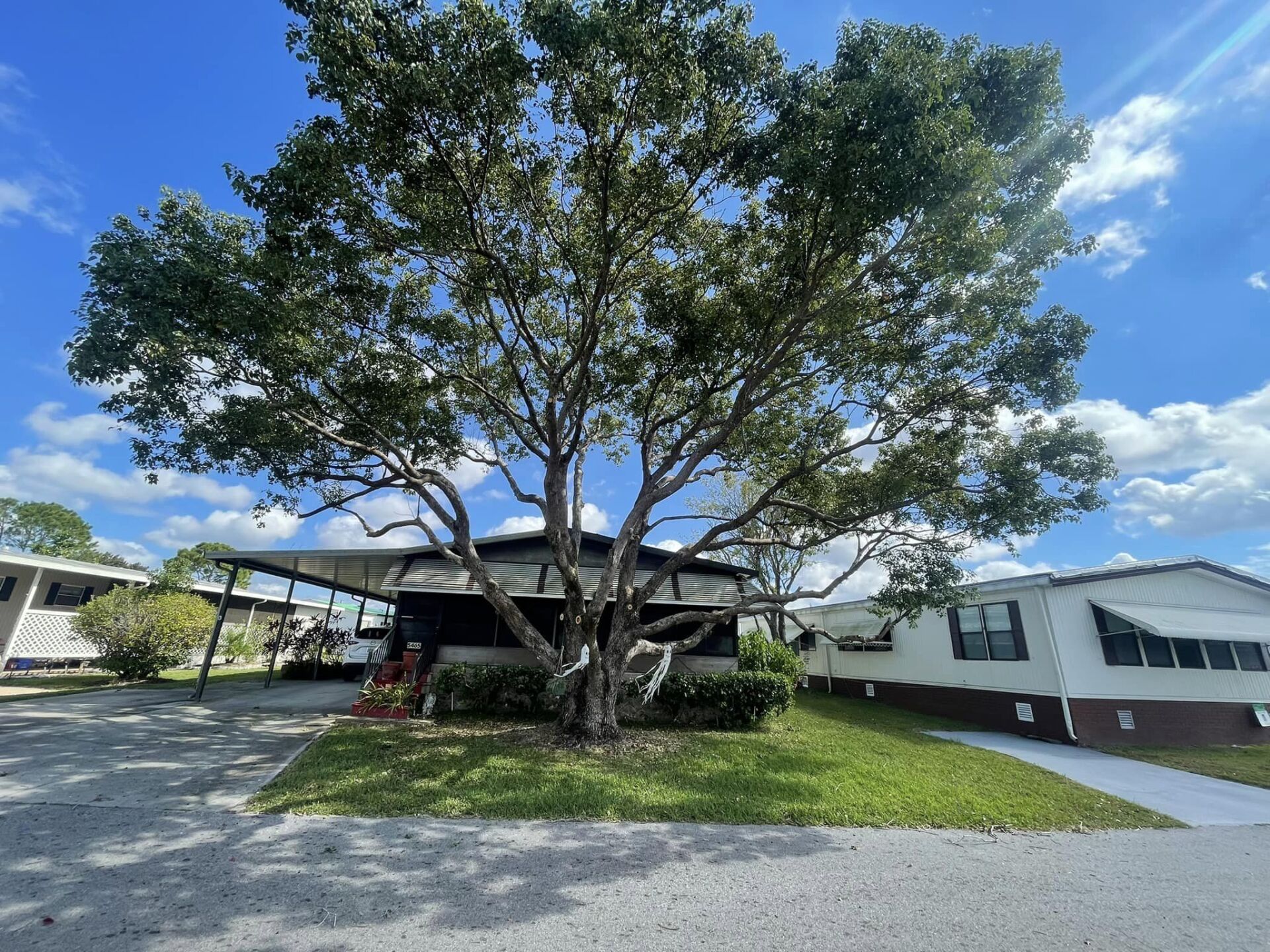 Tree Services Orlando, FL K&E Tree Service