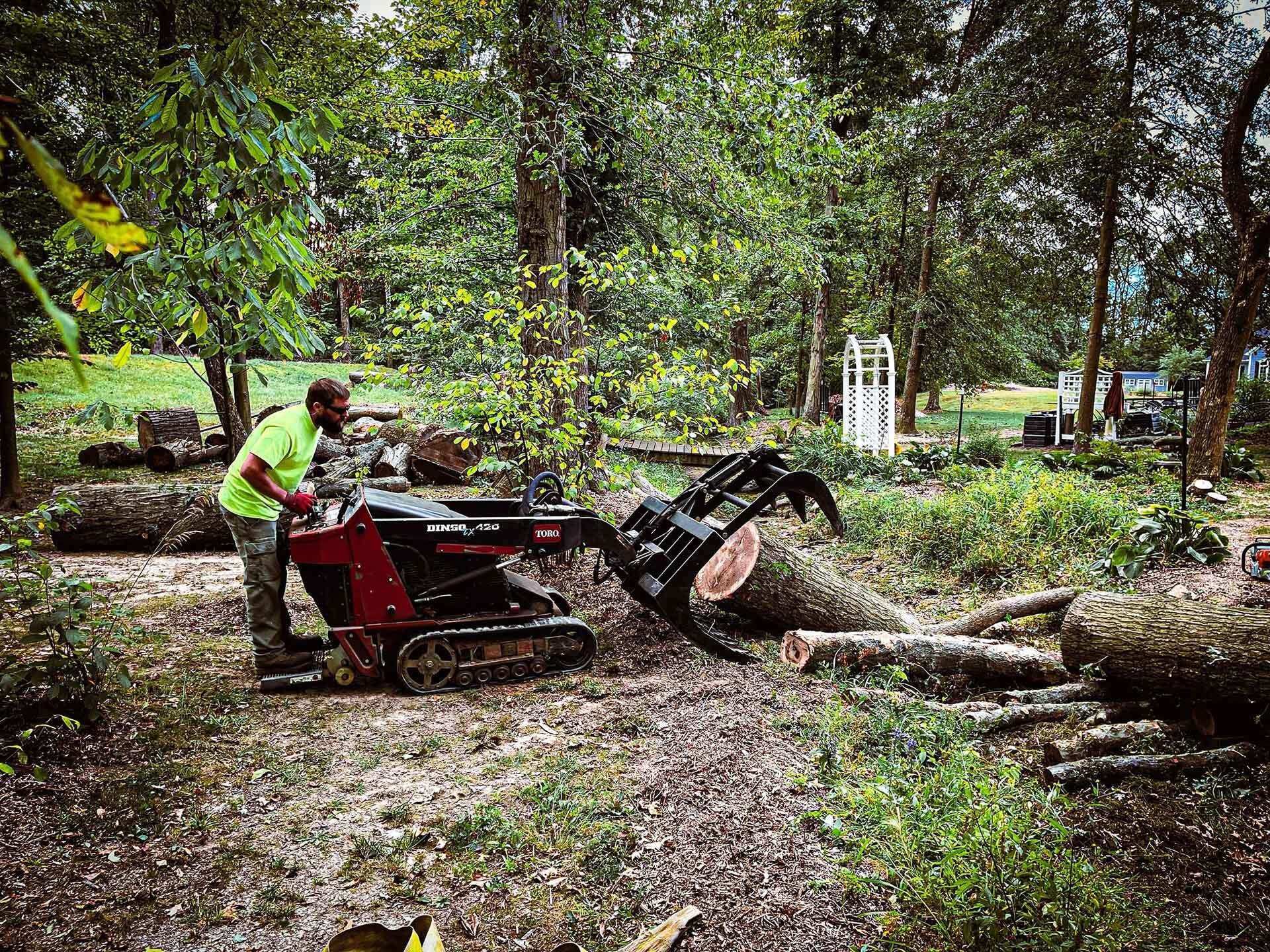 Tree Services Batavia, OH Tree Top Tree Trimming