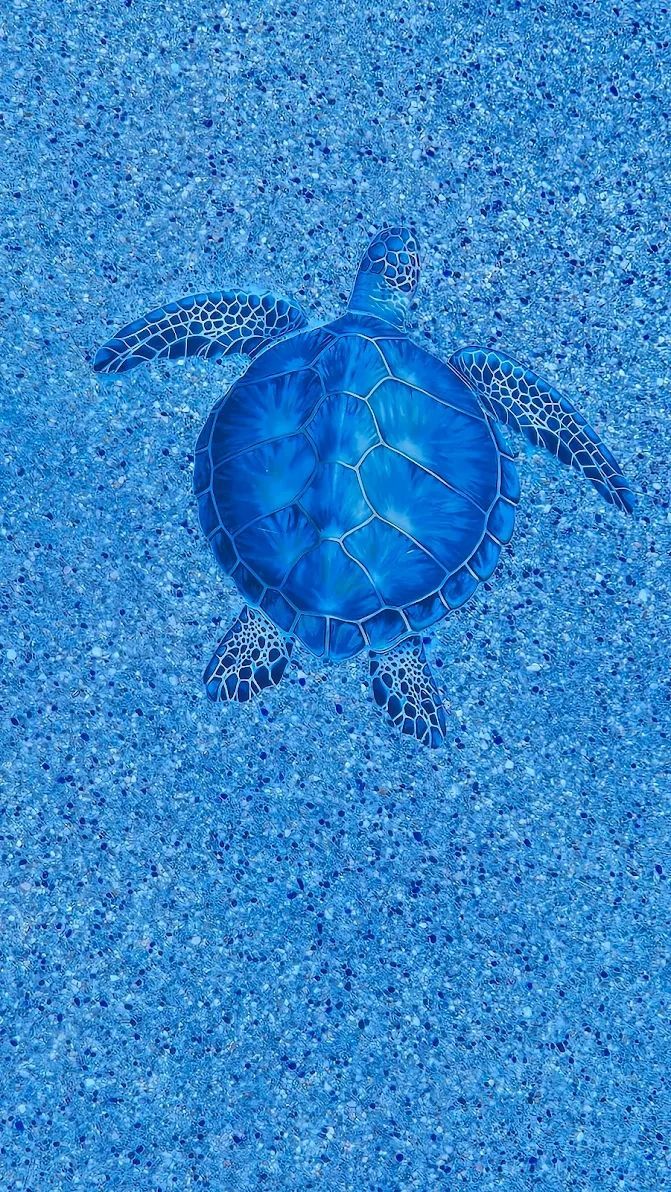 Blue sea turtle swimming in clear blue water, viewed from above