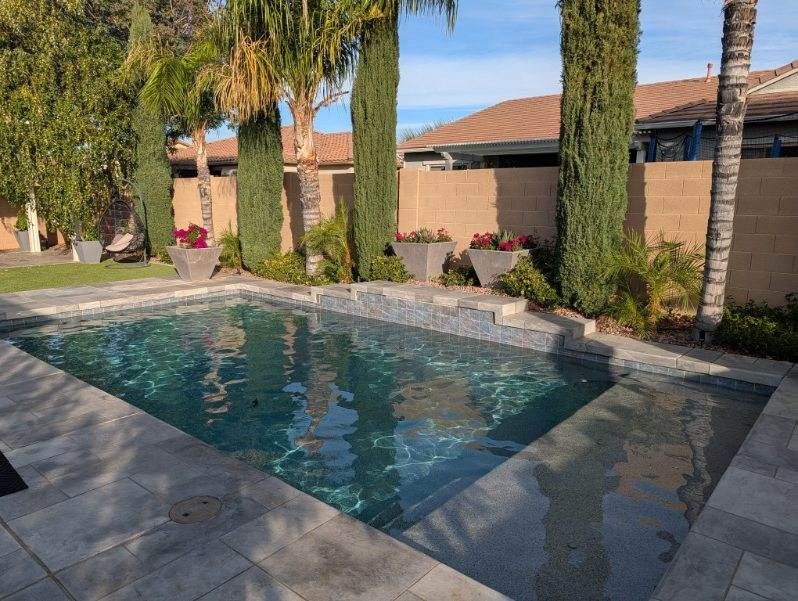 Backyard swimming pool with stone patio, palm trees, and desert-style landscaping in sunlight