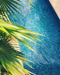 Palm fronds over a turquoise pool with a sandy edge, viewed from above.