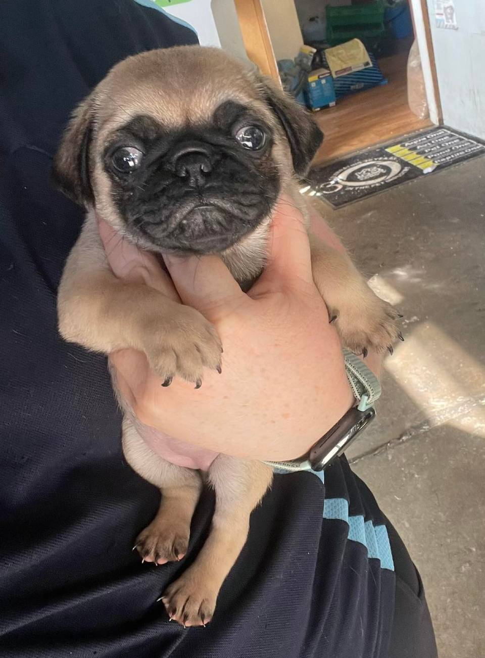 Pet Food & Animal Dedicated Specialists in Parkes, NSW