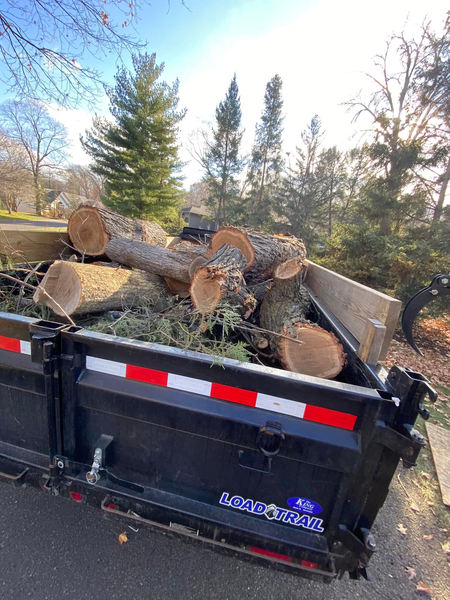 Dump truck filled with cut tree logs and branches. Outdoor setting, bright sunlight.