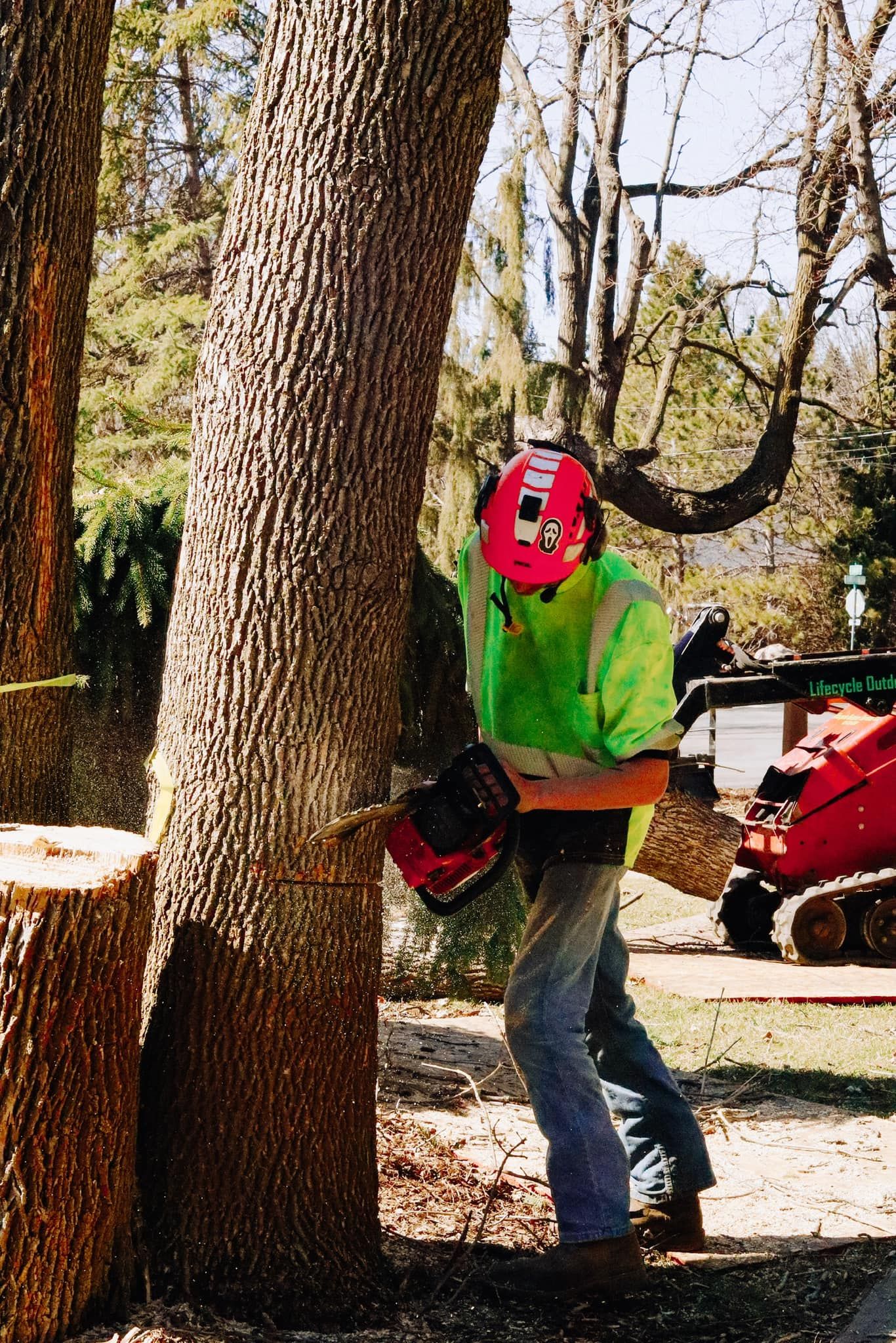 Arborist cutting down a tree with a chainsaw, wearing safety gear; wood chips fly.