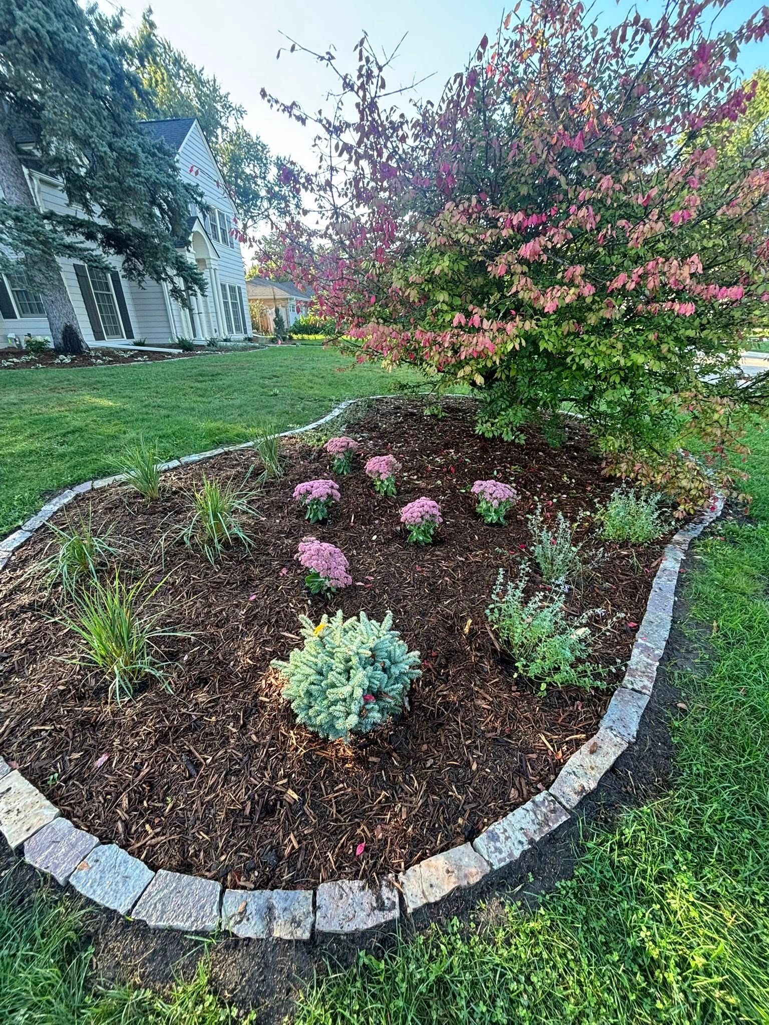 Garden bed with pink flowers and a reddish-pink bush, bordered by stone blocks, next to a grassy lawn.