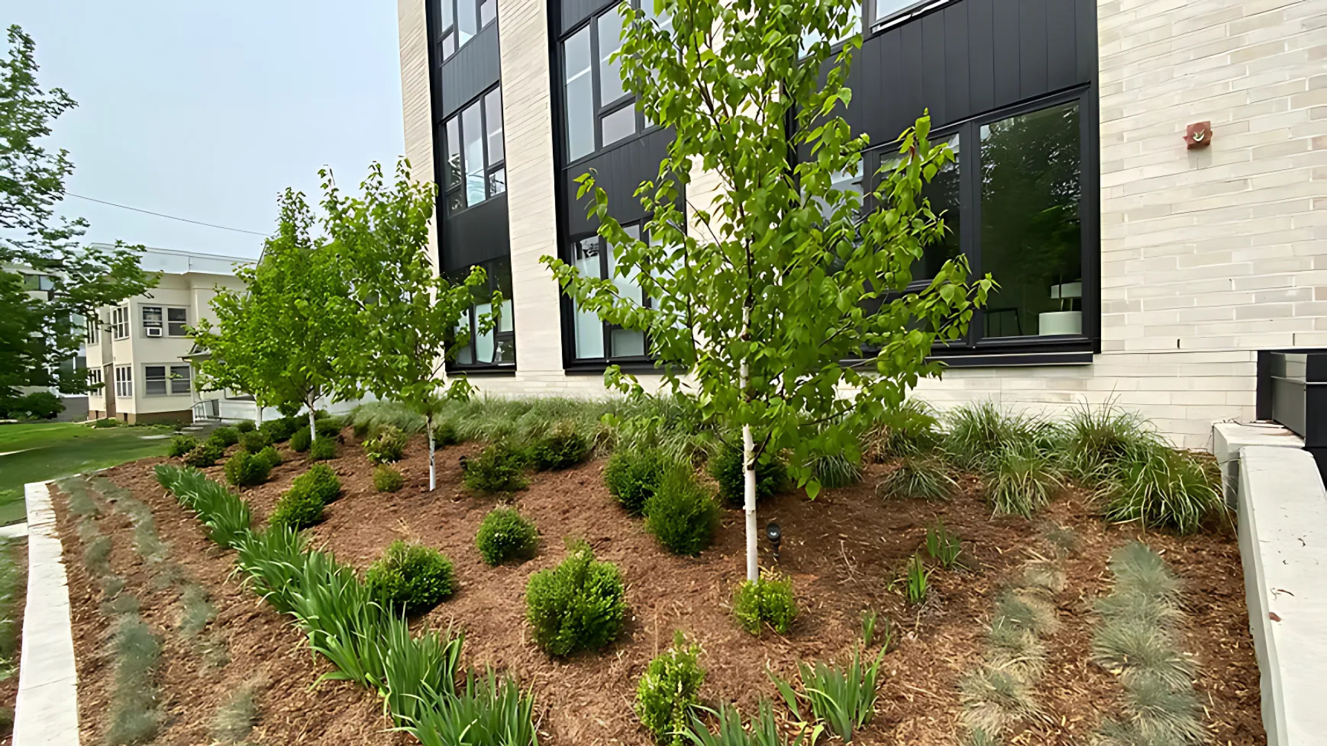 Landscaped area with young trees and shrubs next to a modern building with black accents and large windows.