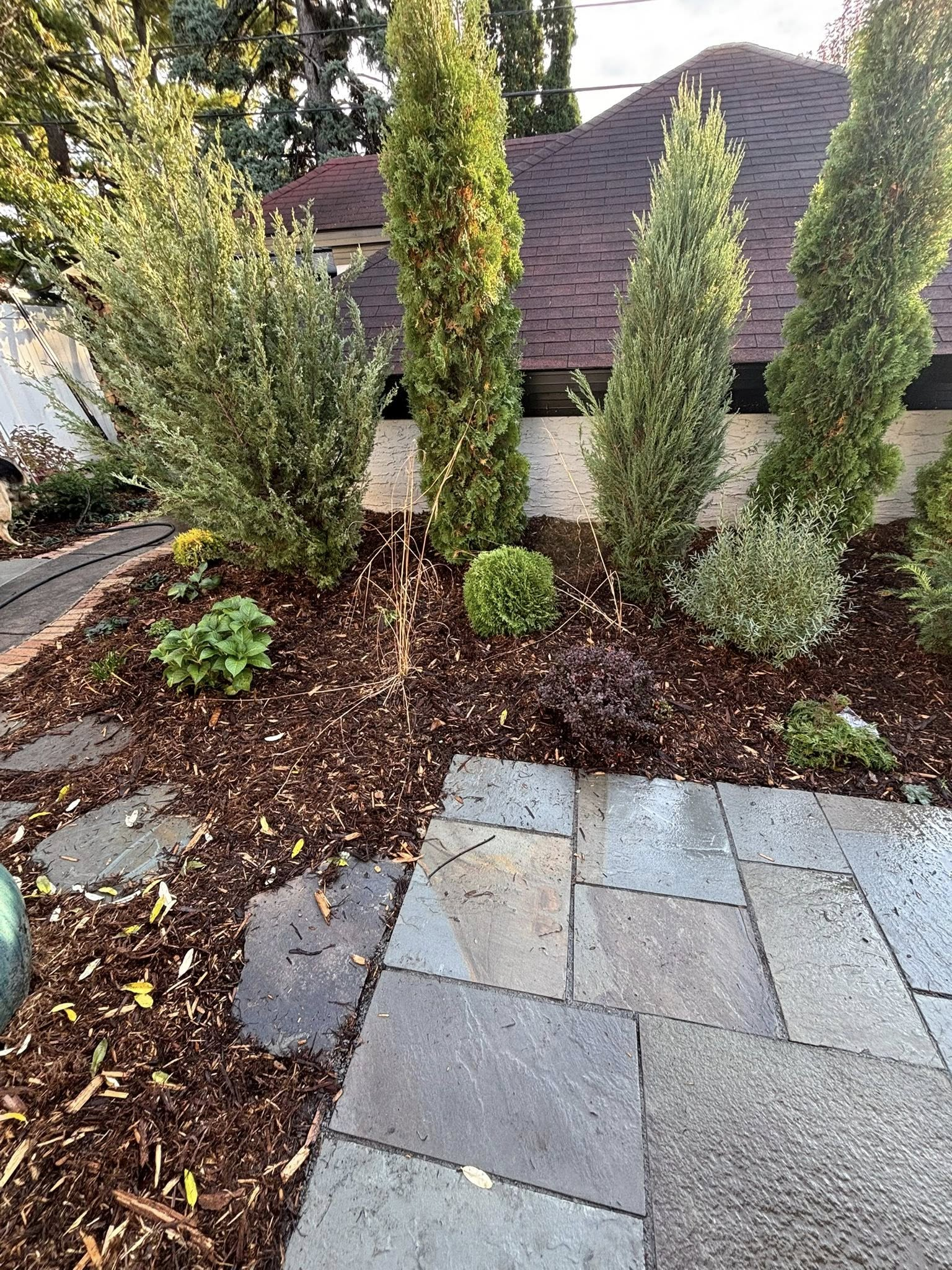 Patio with stone pavers leading to a garden bed with trees, shrubs, and mulch.