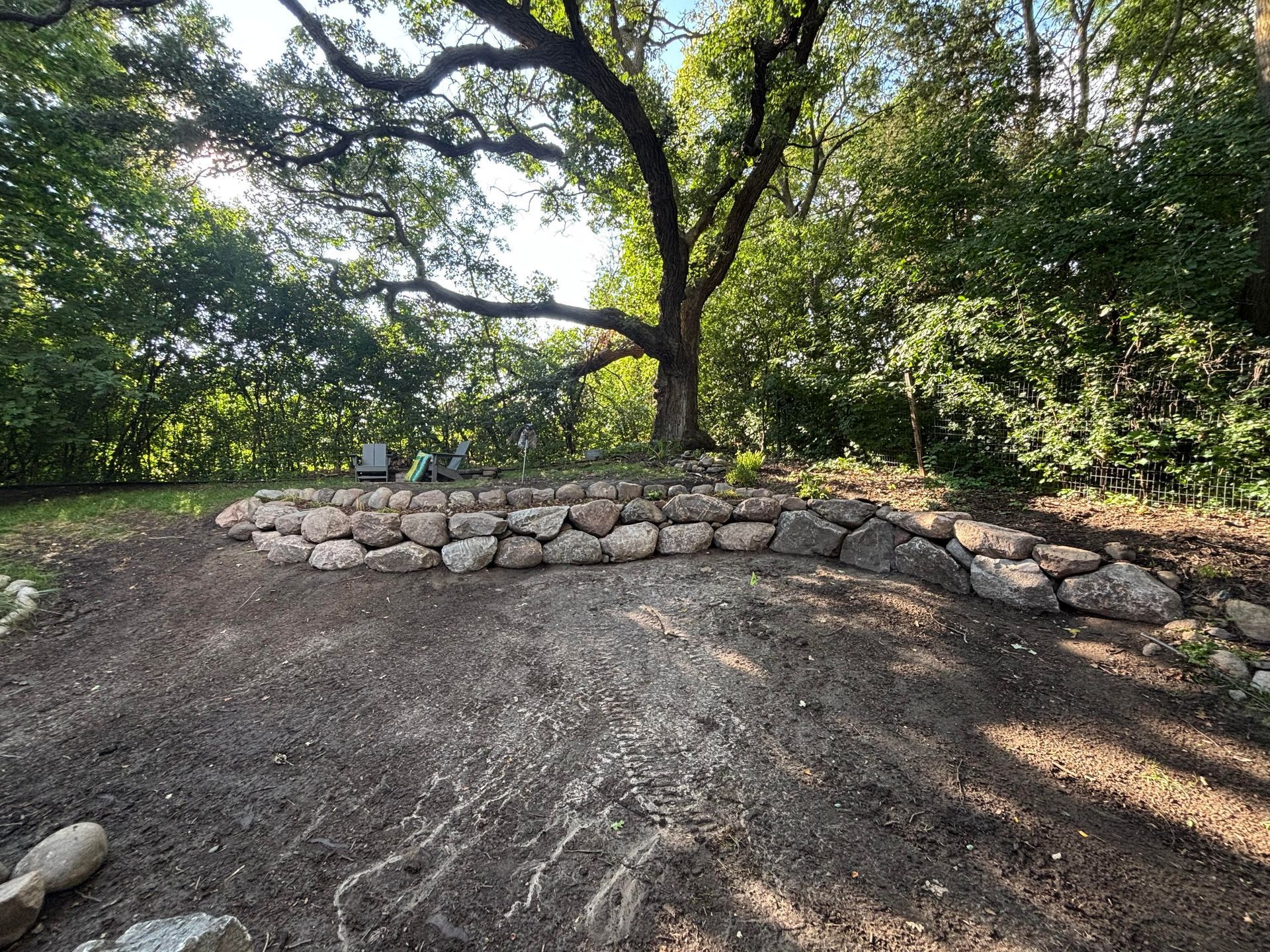 Stone retaining wall on a hillside with a large tree in a forest setting.