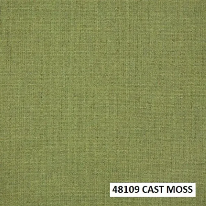 Sunbrella: 48109 - Cast Moss fabric close-up