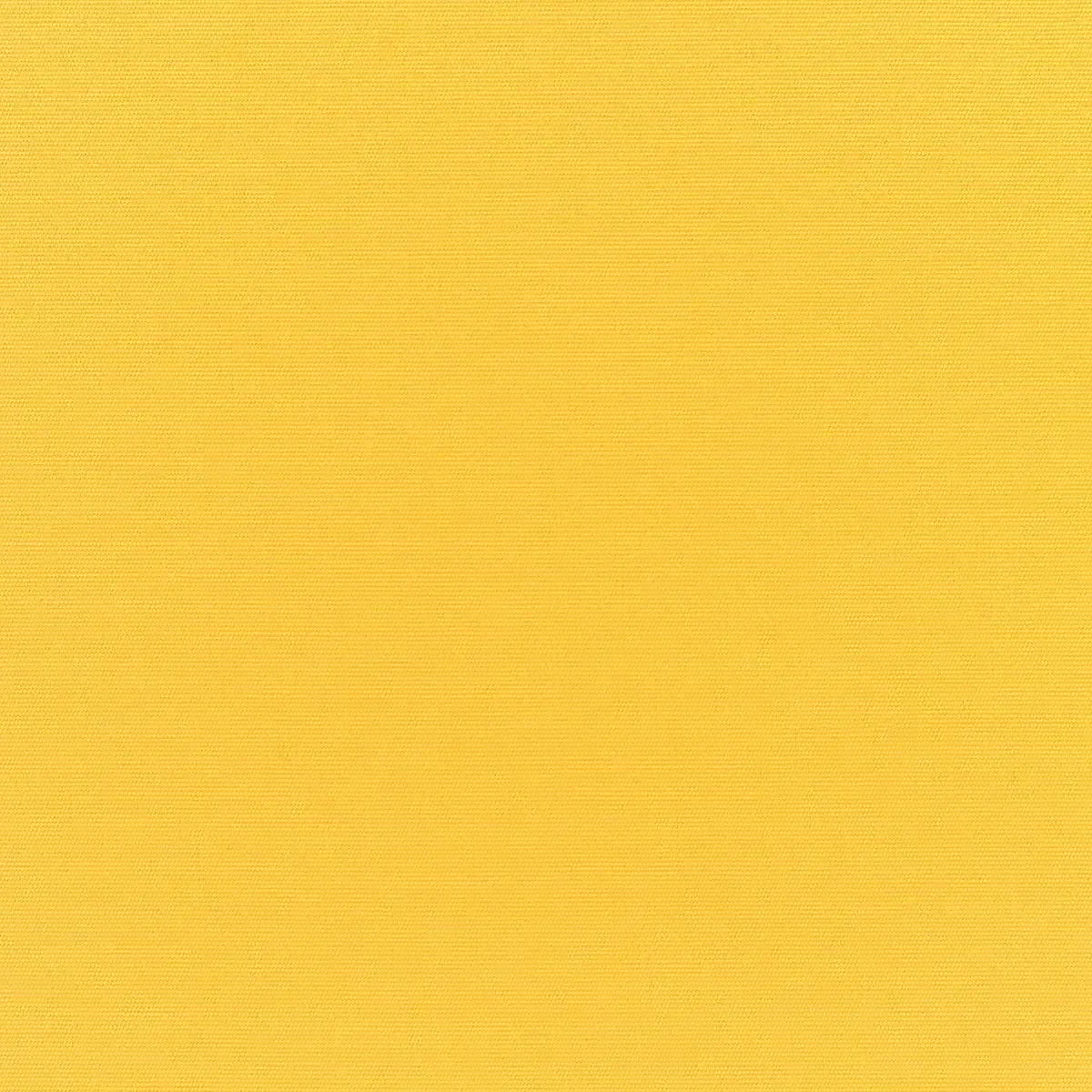 A close up of a yellow paper texture.