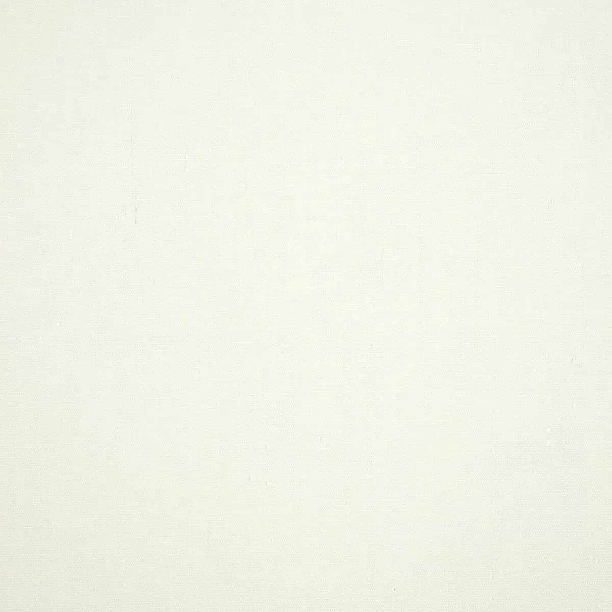 A close up of a white paper texture.