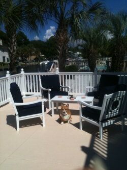 A dog is sitting on a deck with chairs and a table