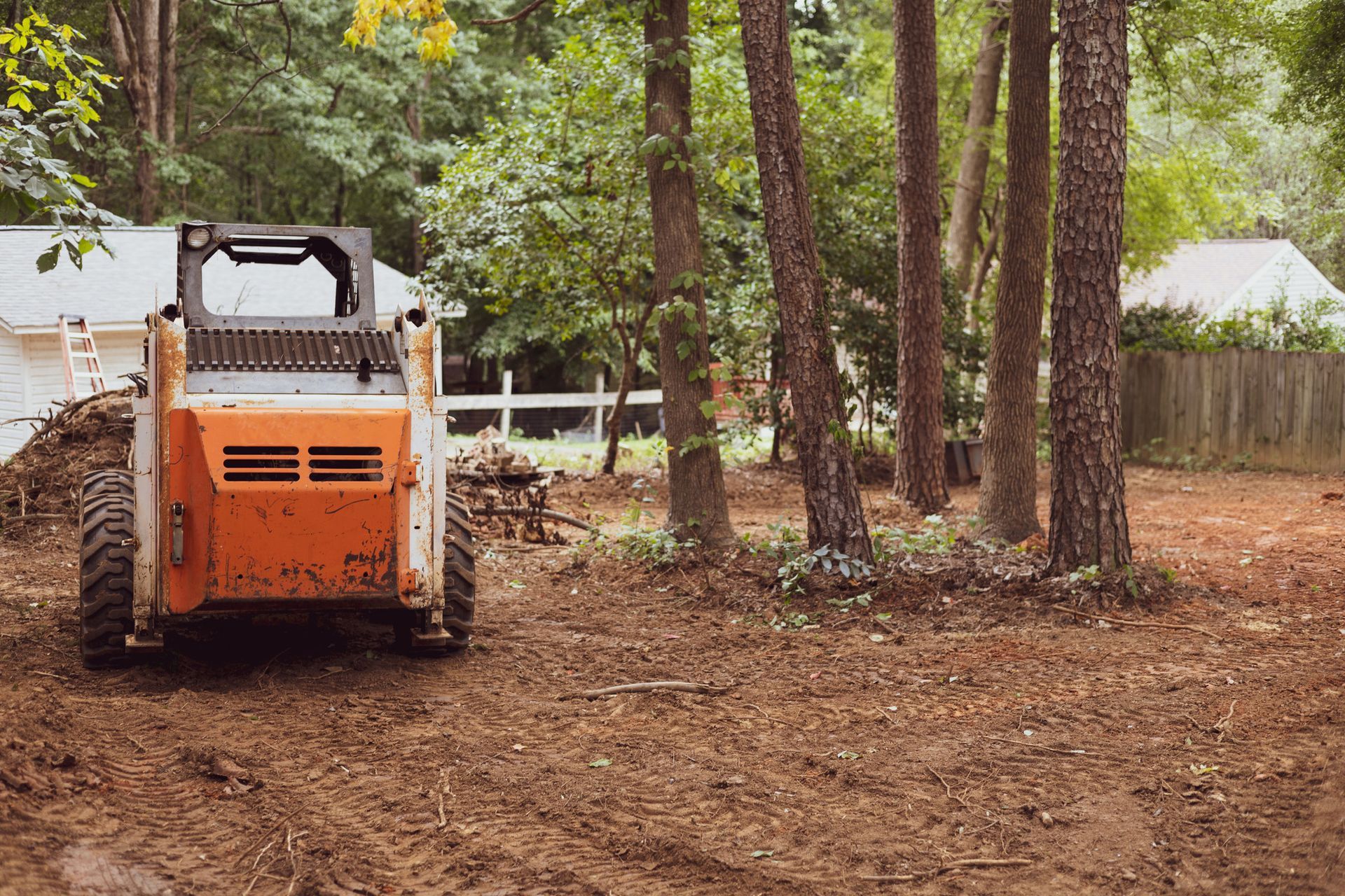 Land Clearing | Gold Coast, QLD | Jackson’s Tree Service