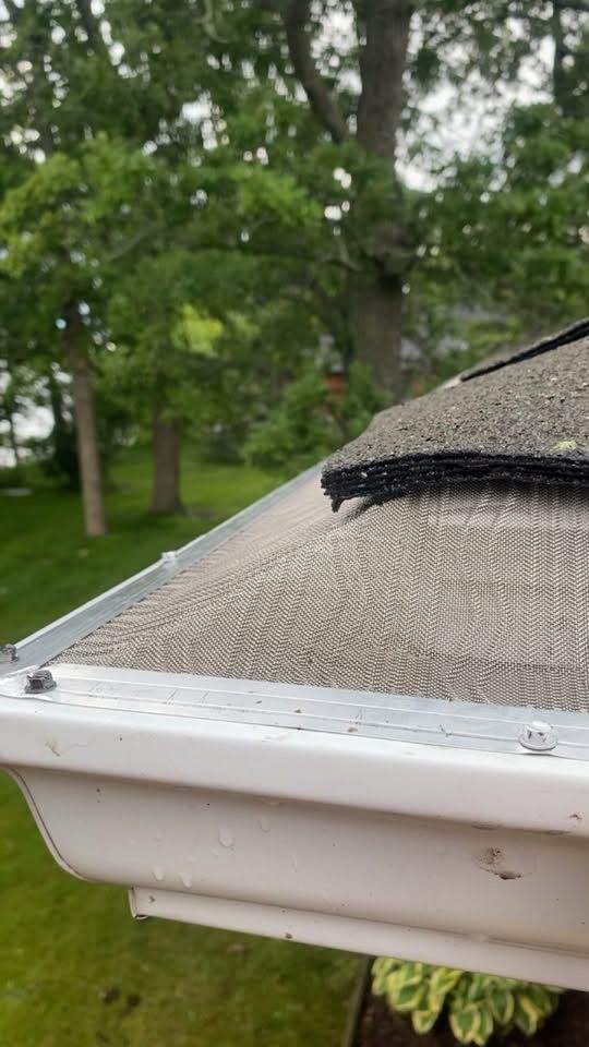 White gutter with roof edge and black mesh cover, viewed outdoors with trees in the background