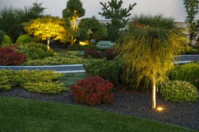 Illuminated landscaped garden with shrubs and small trees at dusk