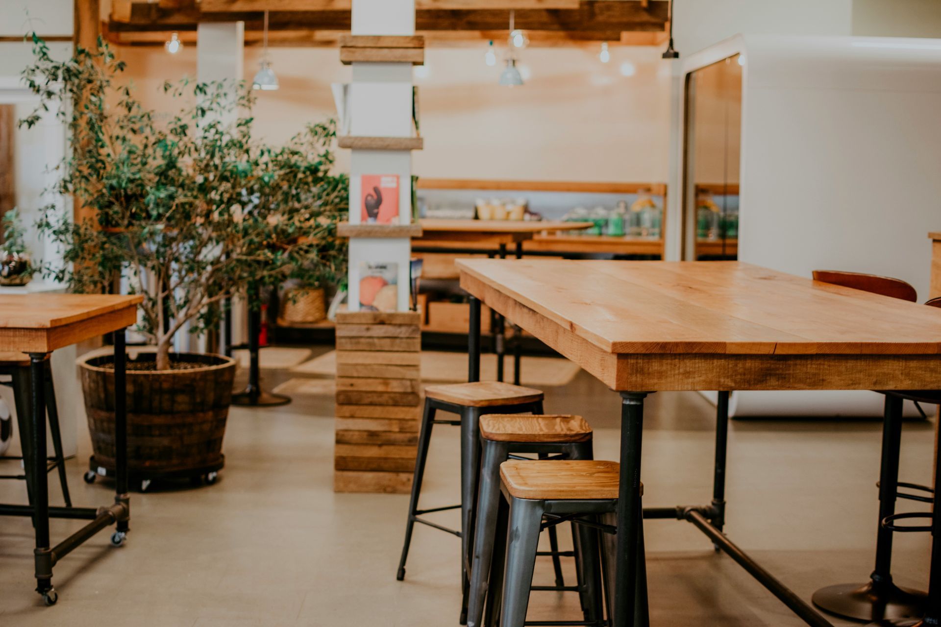 Wooden tables and stools in a well-lit cafe with a large potted plant and exposed beams.