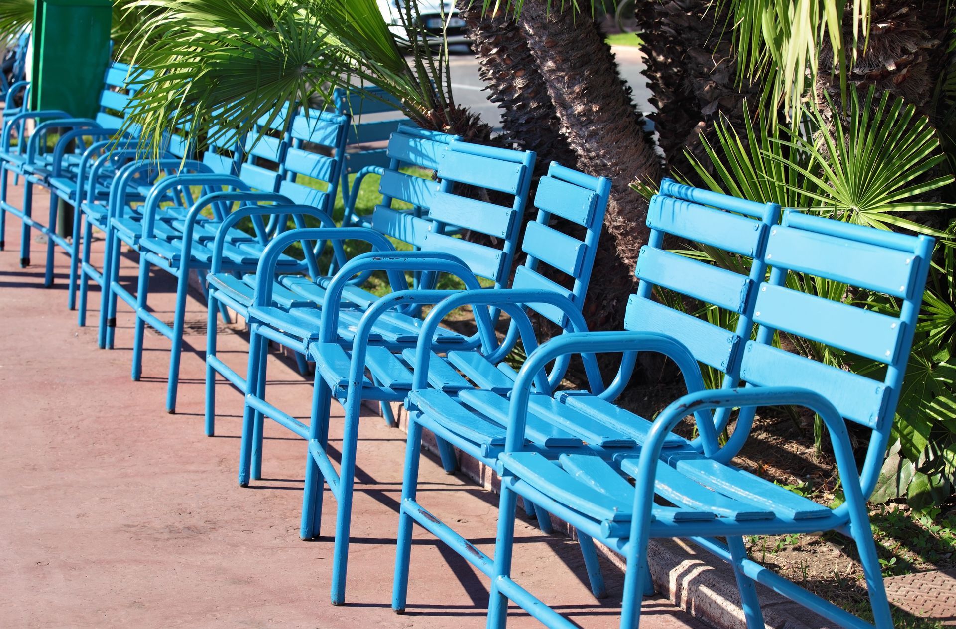 Row of empty blue benches in a park, with palm trees and a sidewalk in the background.