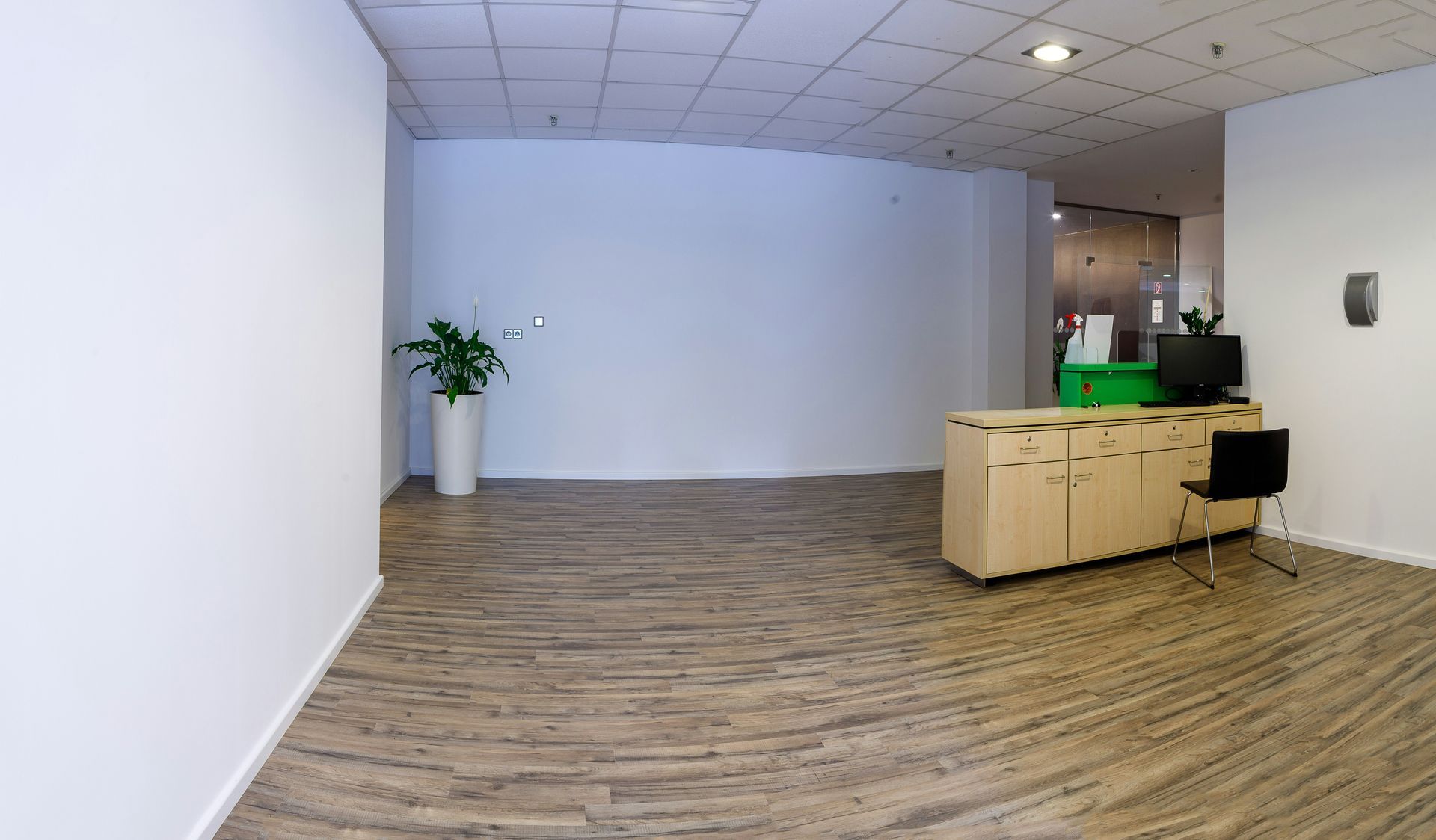 Empty office reception area with a reception desk, plant, and white walls.