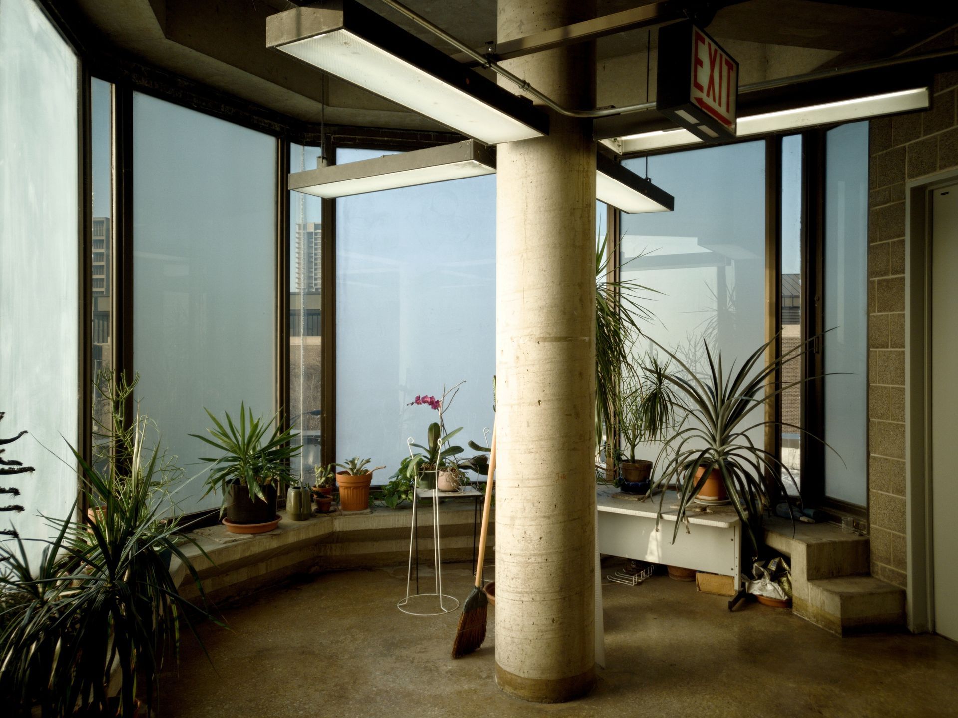 Sunroom with plants, tall windows, and a central column. Natural light and architectural details.