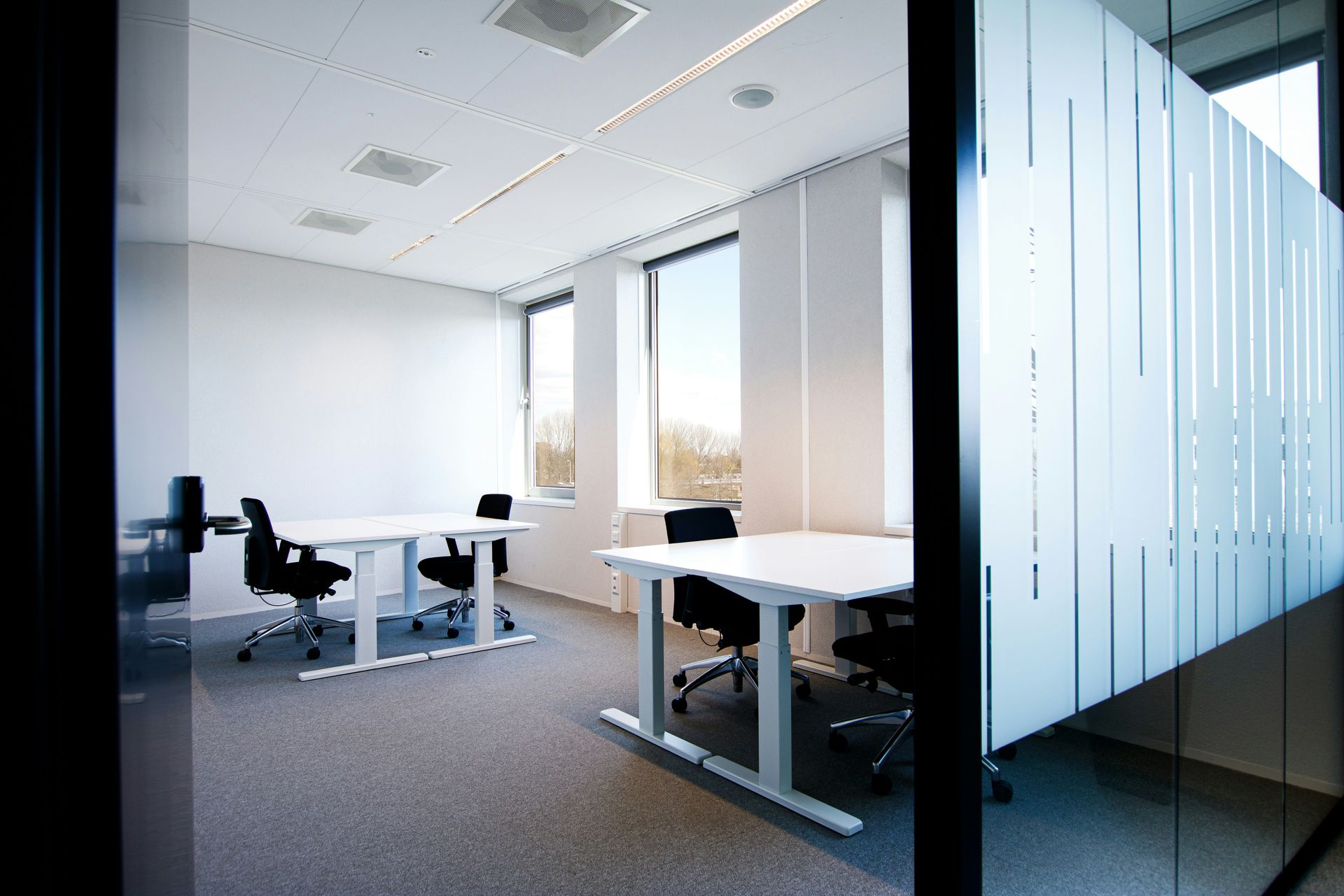 Office interior with white desks, black chairs, and frosted glass wall.