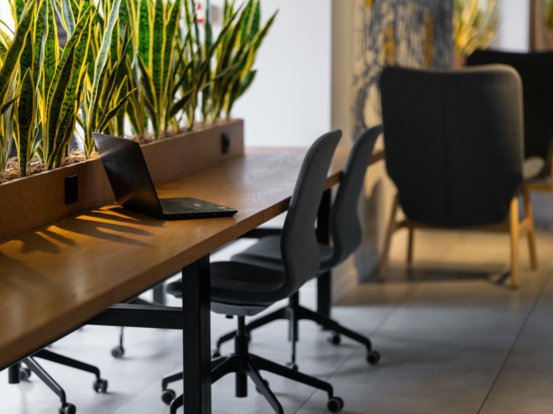 Workstation with laptop, office chairs, and plants along a desk.