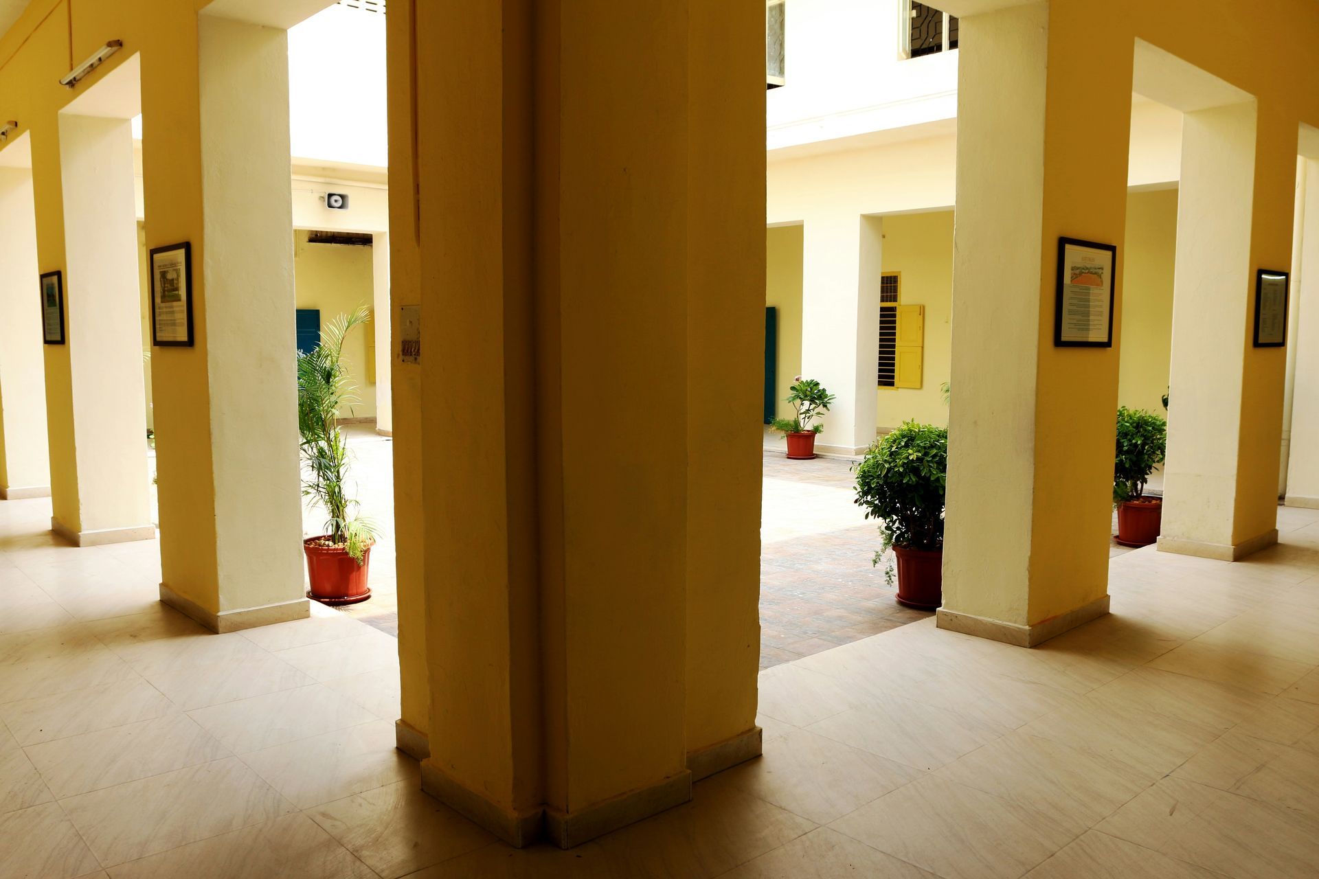 Indoor corridor with yellow pillars and potted plants.