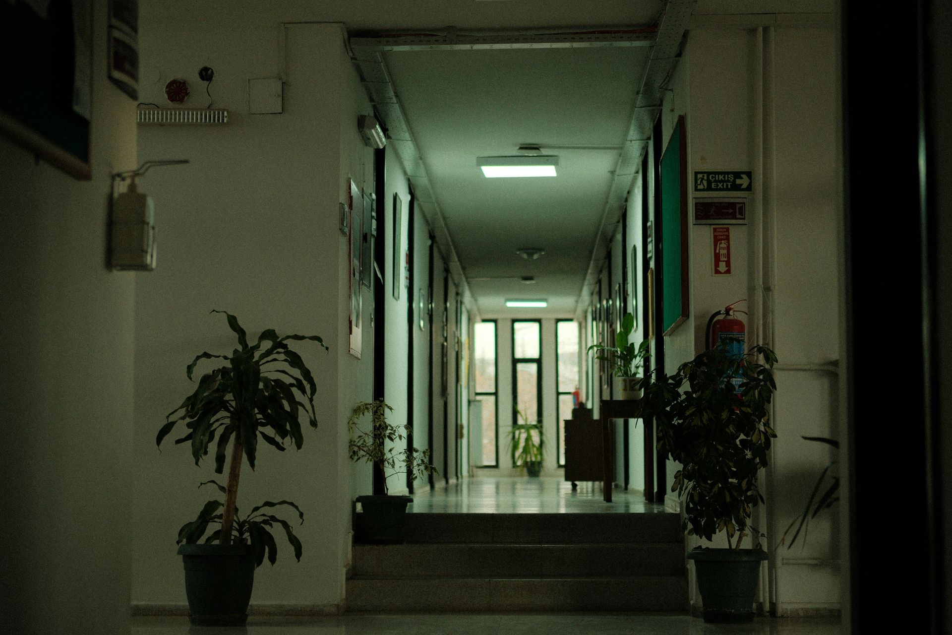 Empty, dimly lit school hallway with plants, doors, and a distant window.