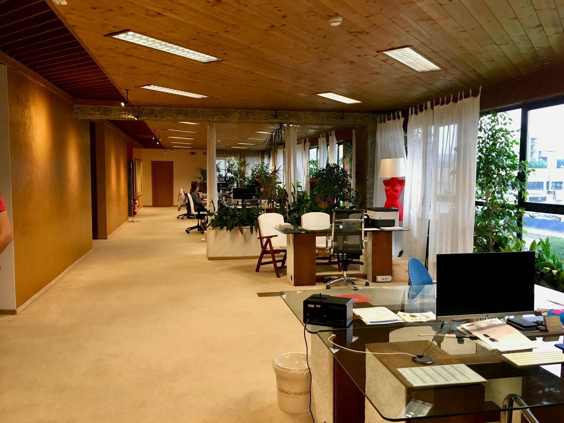 Spacious office with wood ceiling, beige carpet, and large windows. Desks, chairs, and potted plants are present.