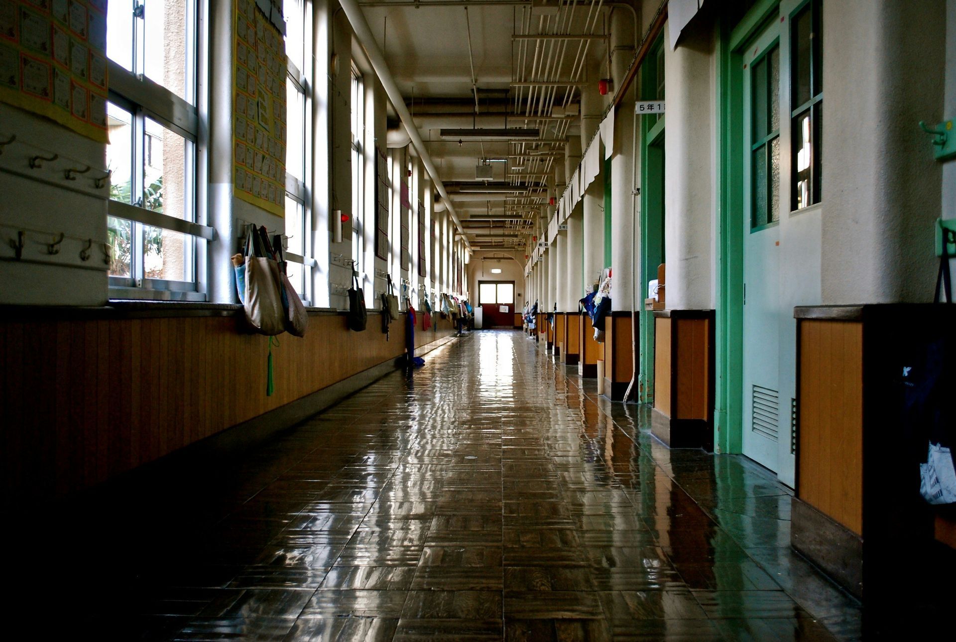 School hallway with sunlight, shiny floor, windows, and doors.