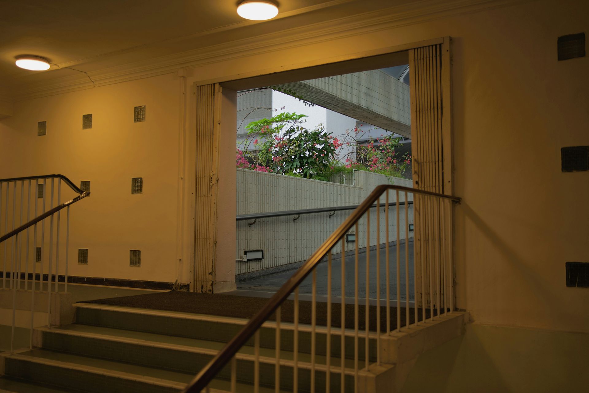 Stairway leading to an outdoor area with plants. Beige walls, white railings, and curtains frame the view.