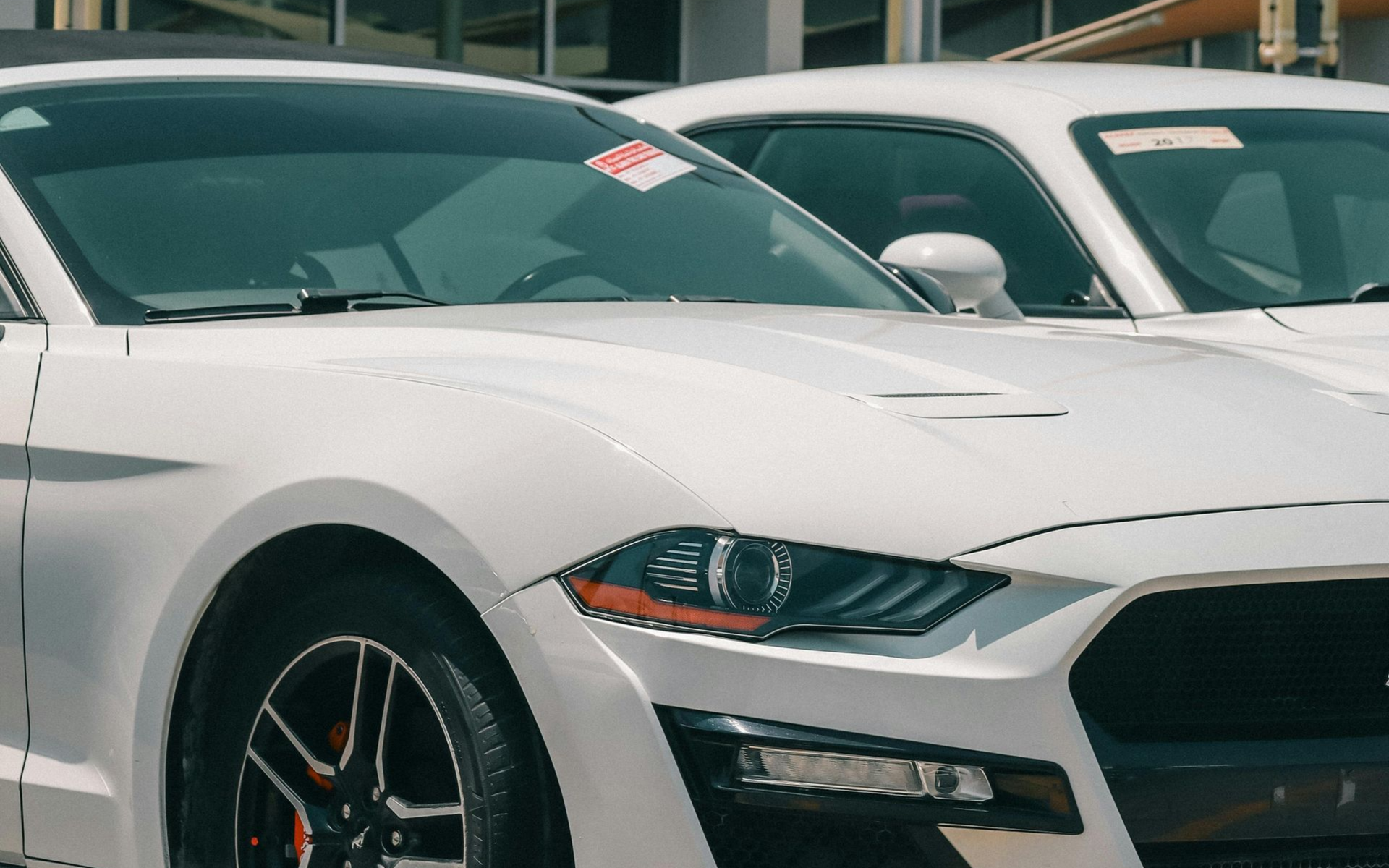 White Ford Mustang and Dodge Challenger parked side-by-side in daylight.