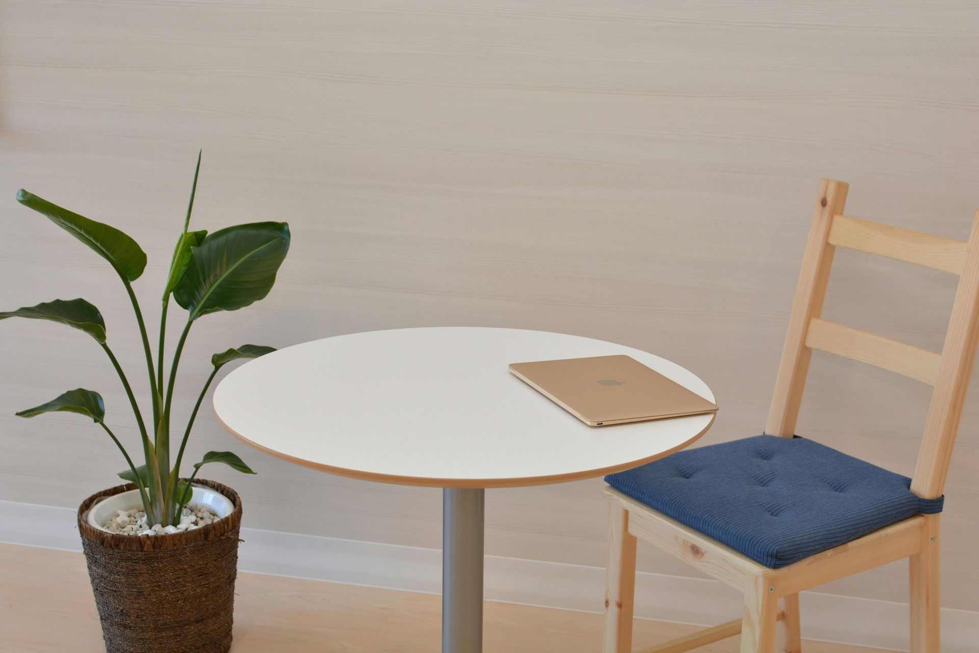 A small white table with a plant and chair against a light-colored wall. A book rests on the table.