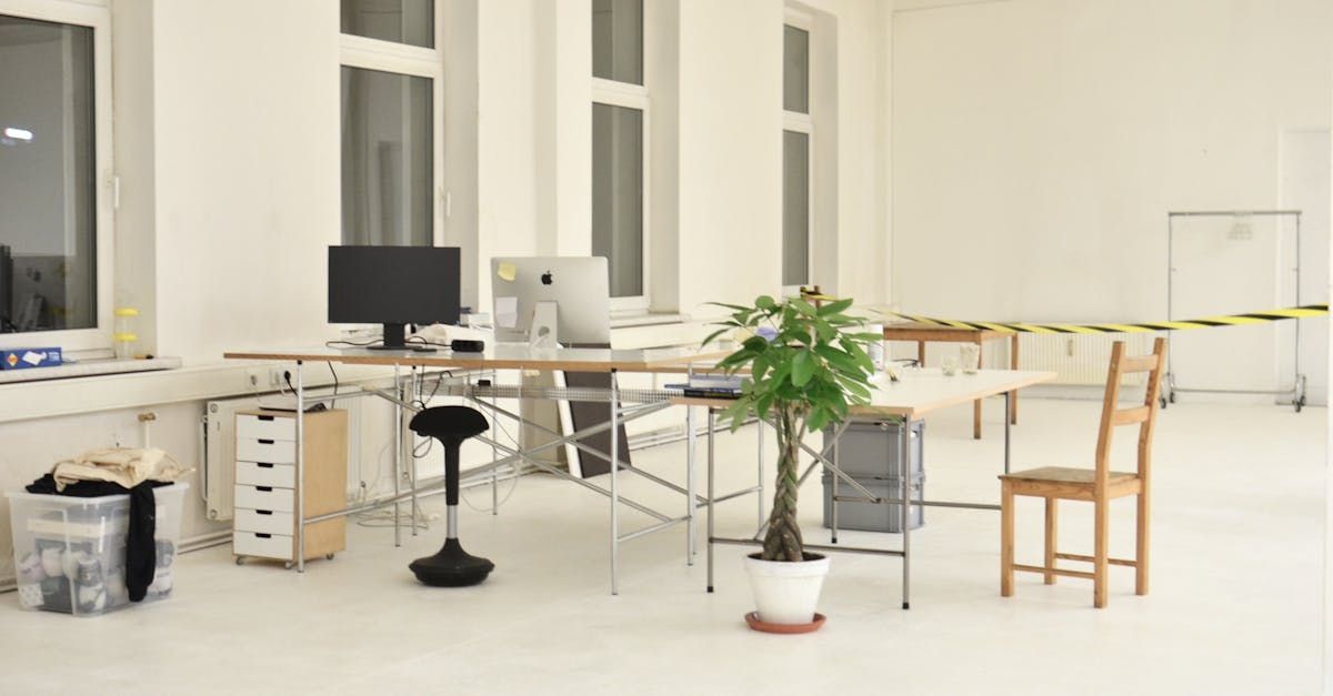 Bright, minimalist office space with desk, plants, computer, and wooden chair. White walls and floor.