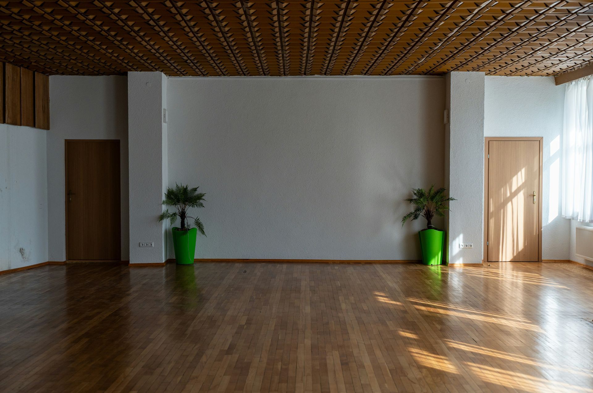 Empty room with wood floor and ceiling, white walls, two green potted plants, and two doors.