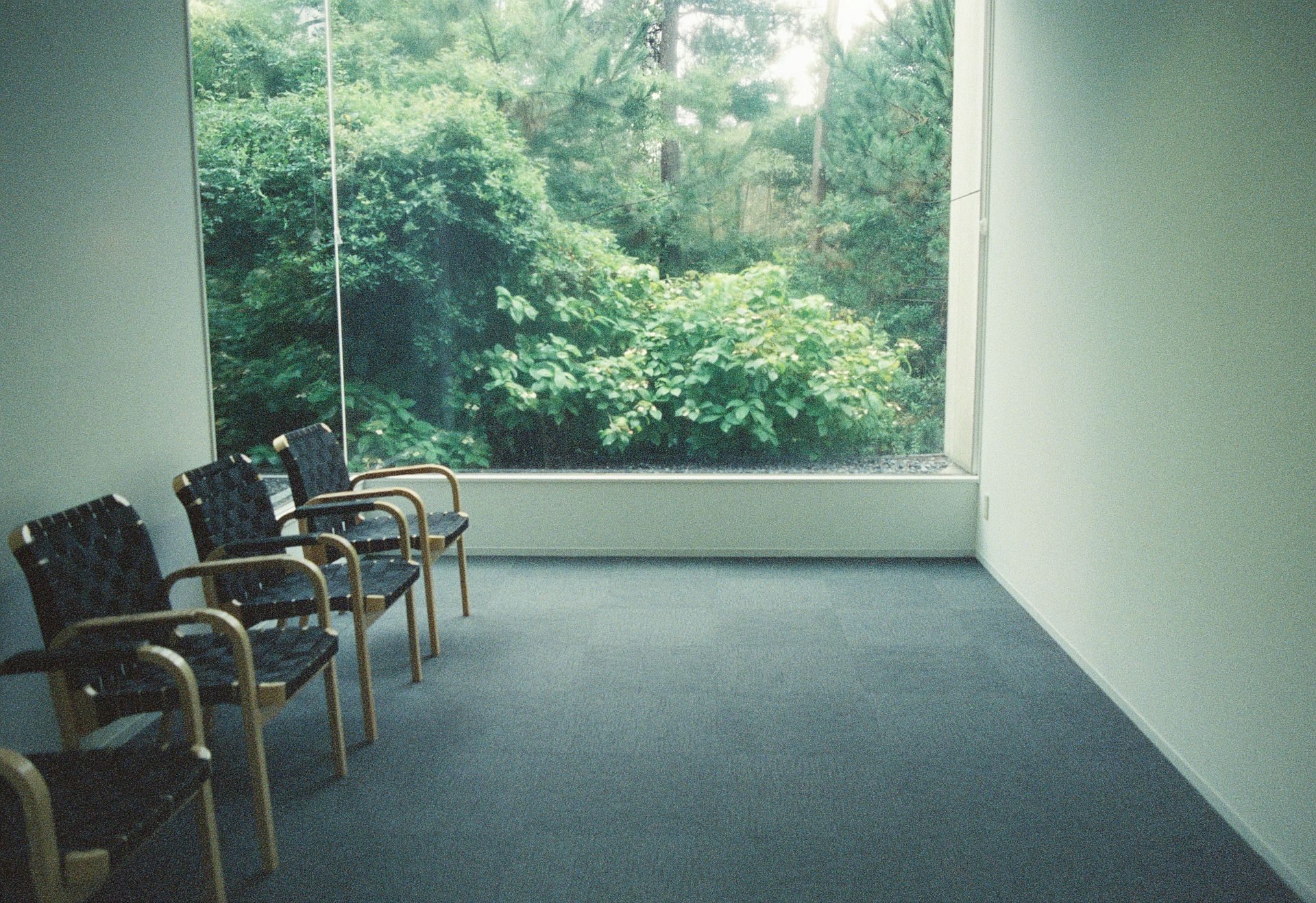 Waiting room with chairs facing a large window overlooking lush greenery.
