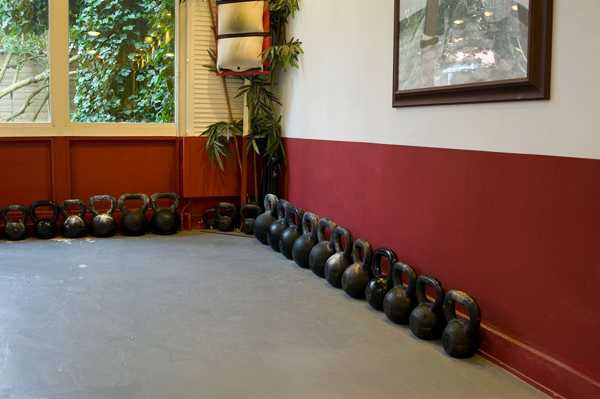 Row of black kettlebells along a red wall in a gym. White window and artwork in the background.