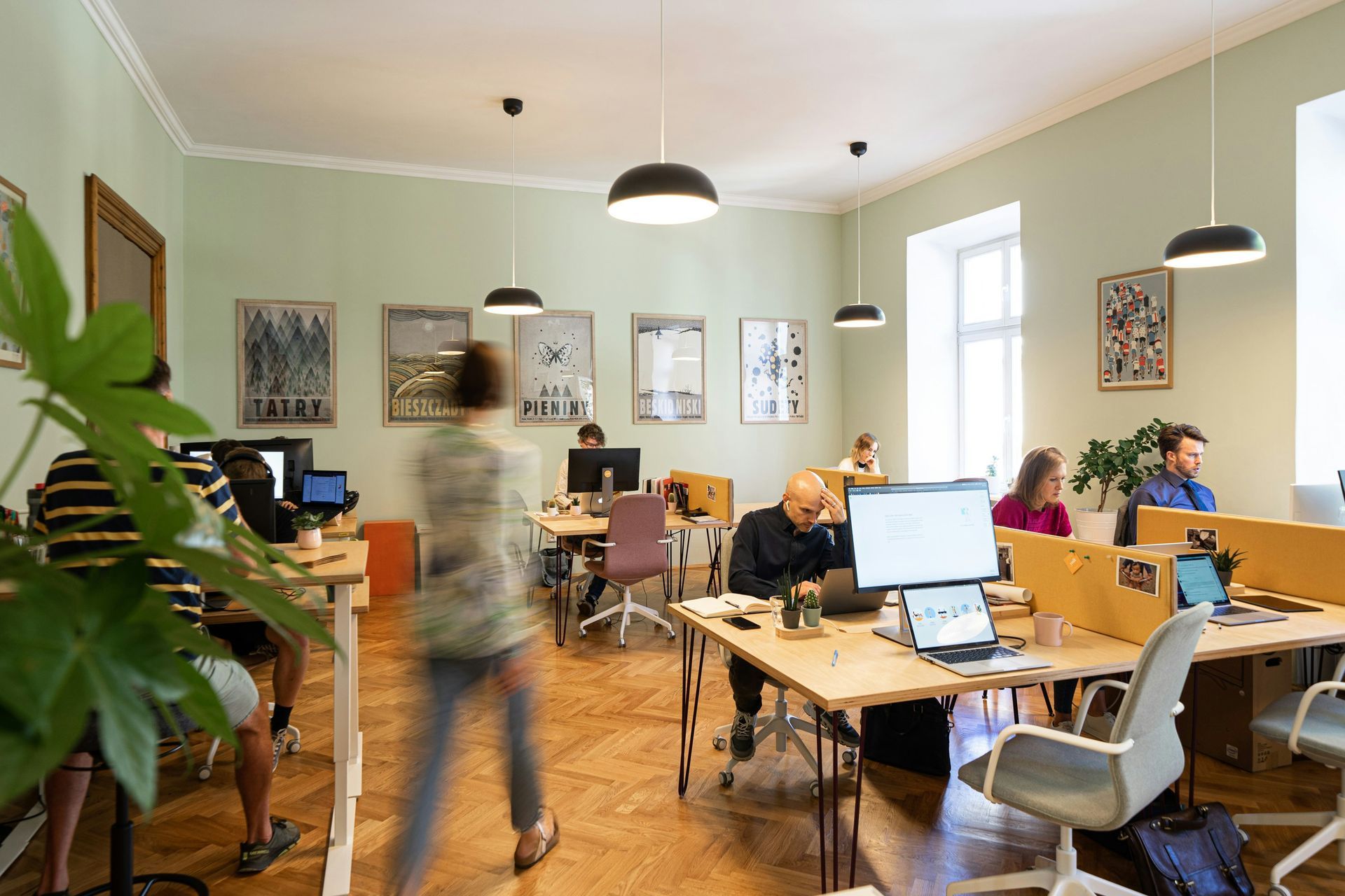 Office with people working at desks, plants, artwork on walls, and overhead lights.