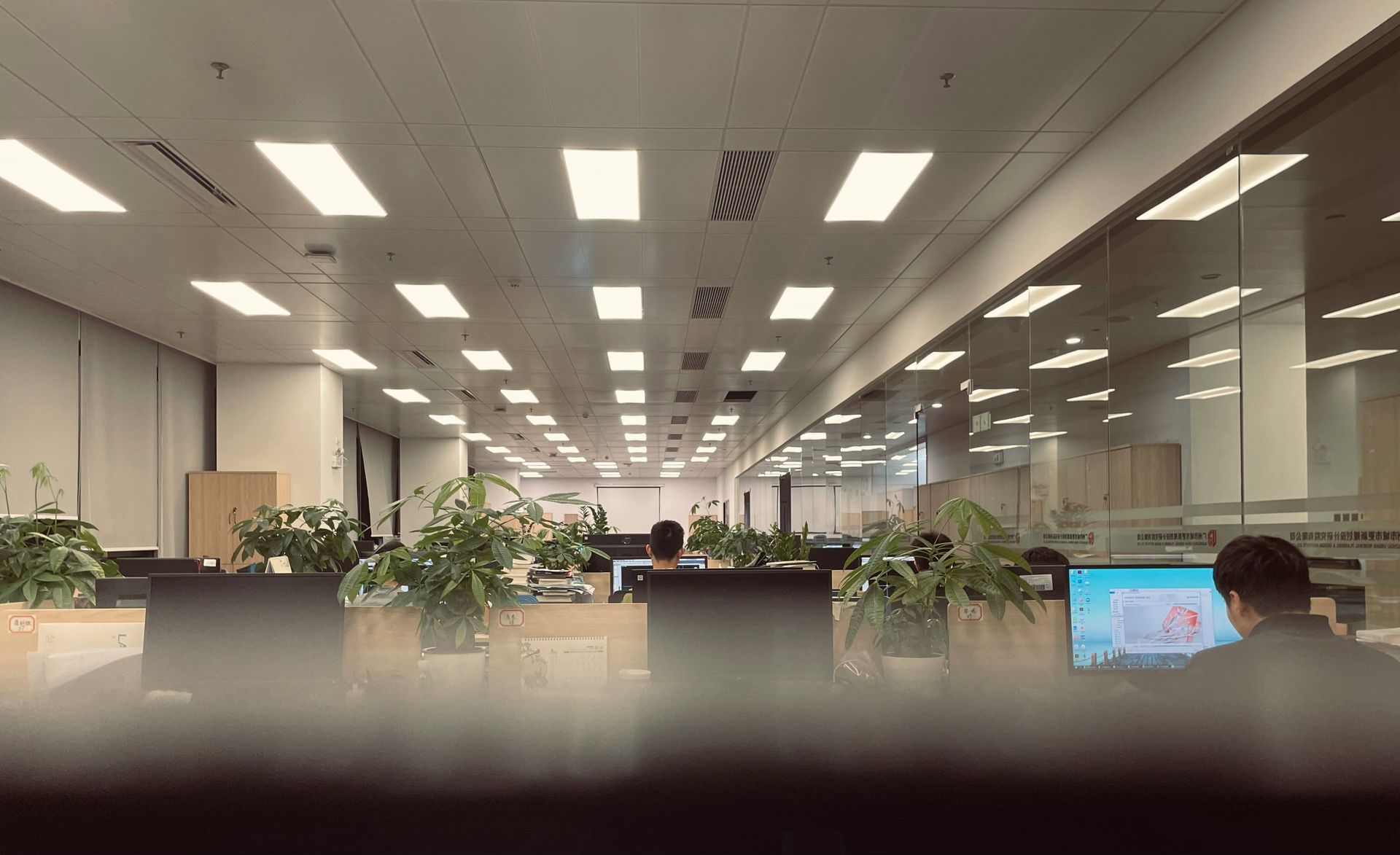 Office interior with rows of desks, plants, and several people working under bright overhead lights.