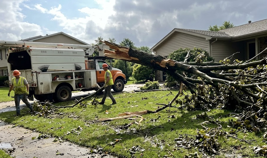 Fast emergency tree removal and storm cleanup service for a commercial property after a bad storm.