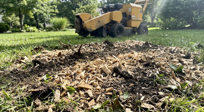 Leftover wood chips after a professional stump grinding service in a local yard.