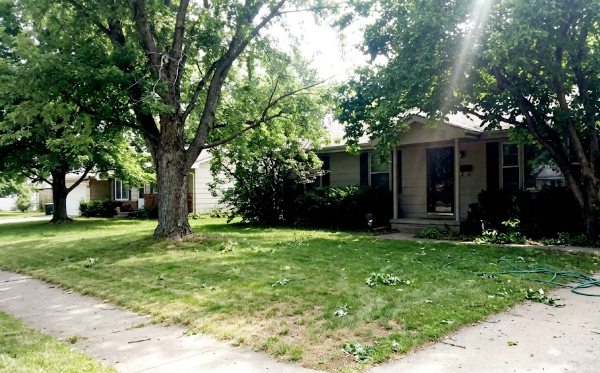 A beautiful home with large, healthy shade trees that have been expertly pruned.