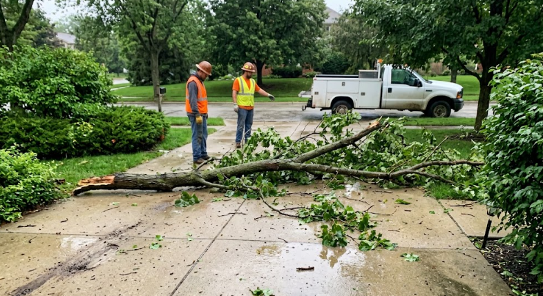 Emergency tree service team arriving to clean up a fallen tree branch after a storm.