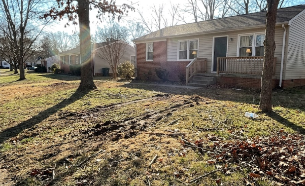 A clean and beautiful yard in Charlottesville VA after a professional tree removal and cleanup service.