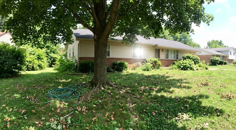 A beautiful, safe front yard in Charlottesville VA with a perfectly trimmed and pruned shade tree.