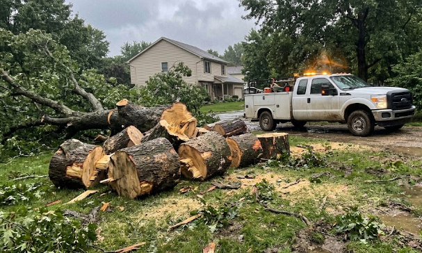 Cut tree logs neatly stacked on a lawn after a storm, with a service truck in the background.