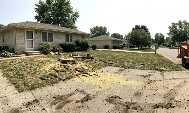 A clean driveway and yard after professional tree removal services, with a wood chipper parked in the background.