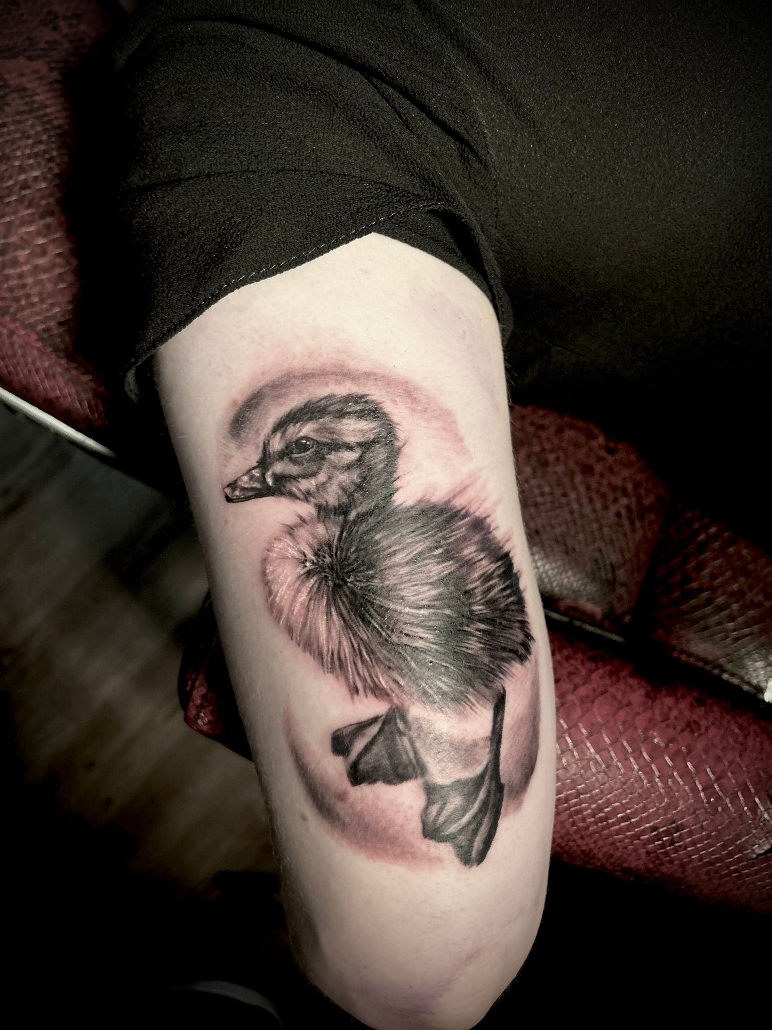 Black and gray tattoo of a duckling on an arm, inside a shaded circle.