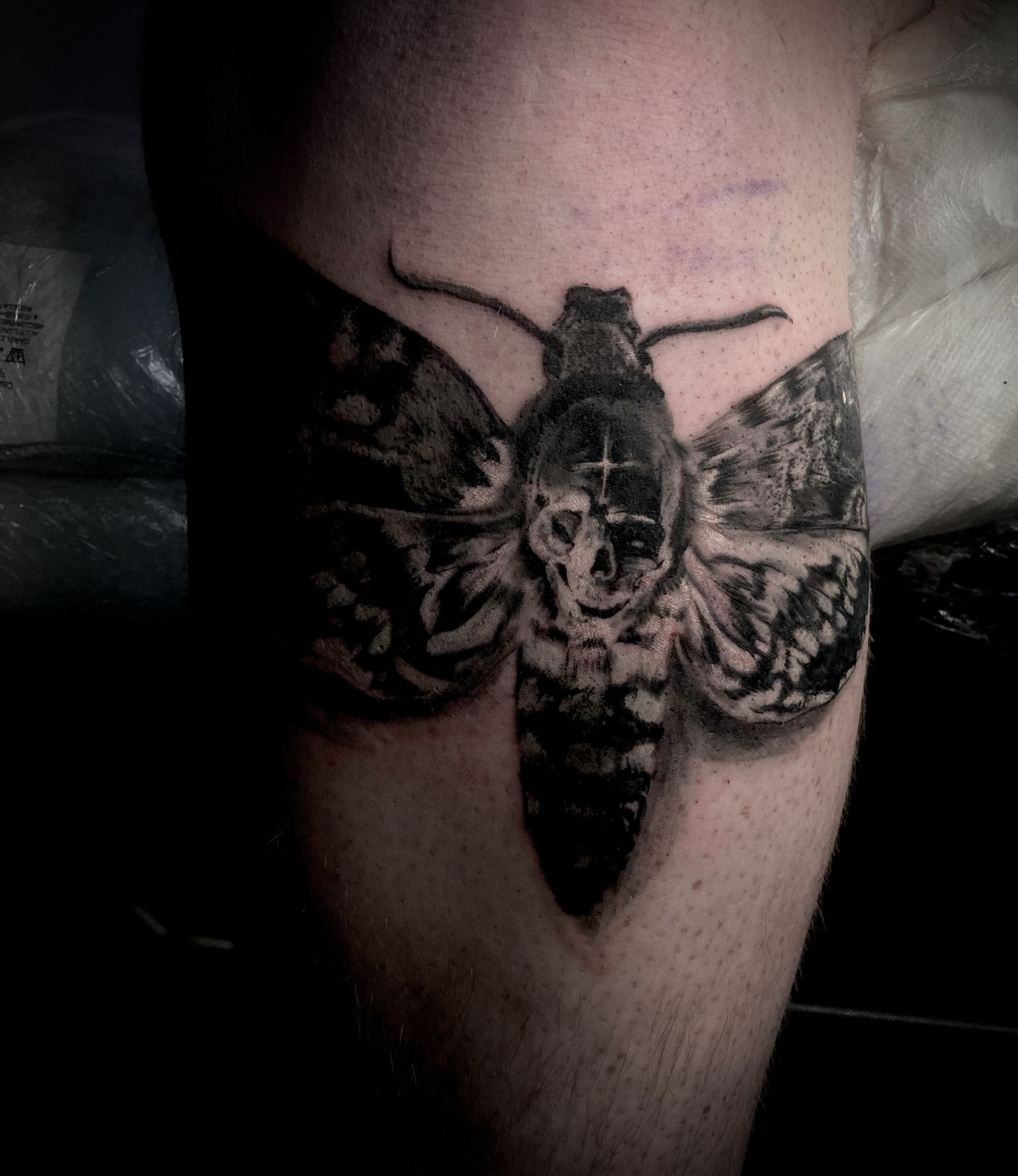 Black and grey tattoo of a death's head moth on a leg. The moth's head has a skull design.