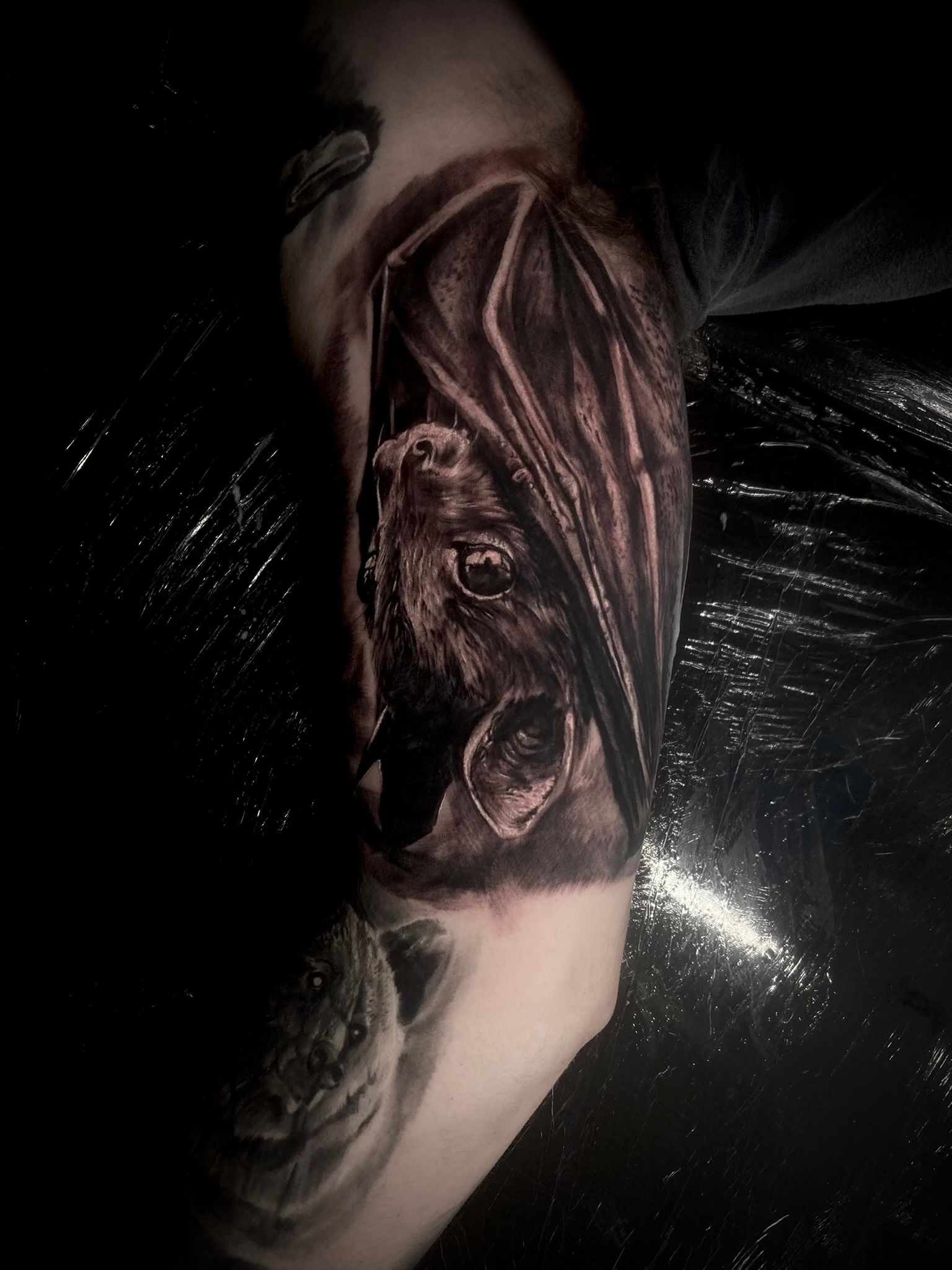 Detailed black and gray bat tattoo on an arm, with the bat's head and wings visible.