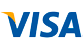 Un logo de visa bleu et jaune sur fond blanc.